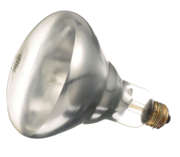 Hatco WHITE-CTD-120 Replacement 250W Heat Lamp Bulb